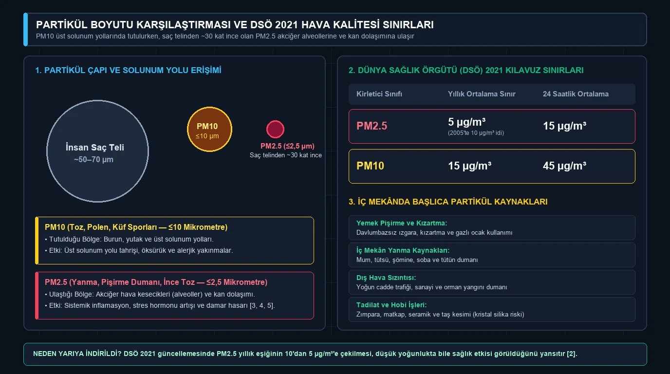 İnsan saç teli ile PM10 ve PM2.5 partikül boyutu karşılaştırması ve Dünya Sağlık Örgütü 2021 sınırları